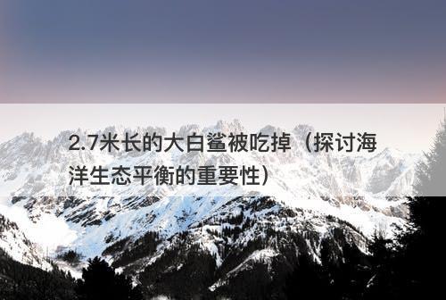 2.7米长的大白鲨被吃掉（探讨海洋生态平衡的重要性）-图1