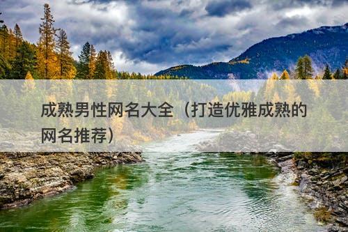 成熟男性网名大全（打造优雅成熟的网名推荐）-图1