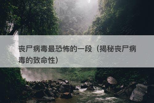 丧尸病毒最恐怖的一段（揭秘丧尸病毒的致命性）-图1