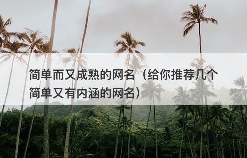 简单而又成熟的网名（给你推荐几个简单又有内涵的网名）