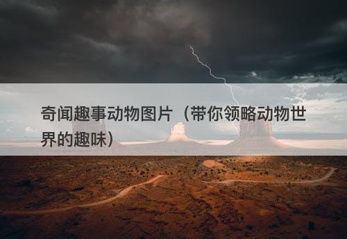 奇闻趣事动物图片（带你领略动物世界的趣味）-图1