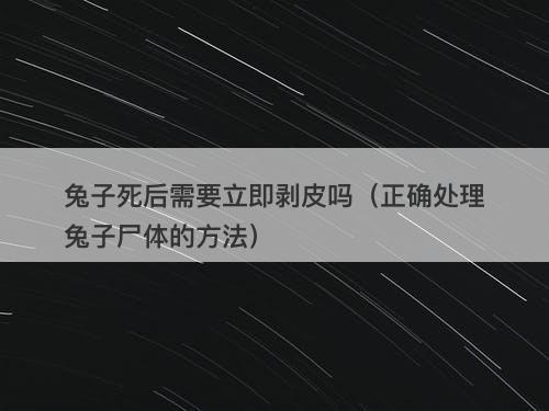 兔子死后需要立即剥皮吗（正确处理兔子尸体的方法）-图1