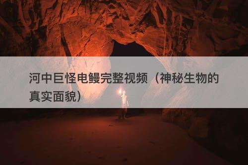 河中巨怪电鳗完整视频（神秘生物的真实面貌）