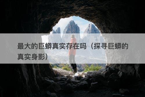 最大的巨蟒真实存在吗（探寻巨蟒的真实身影）-图1