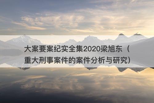 大案要案纪实全集2020梁旭东（重大刑事案件的案件分析与研究）-图1