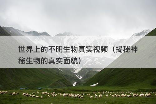 世界上的不明生物真实视频（揭秘神秘生物的真实面貌）-图1