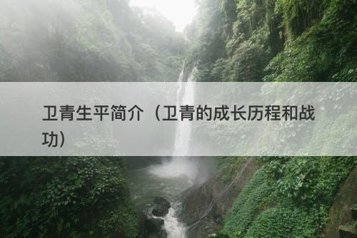 卫青生平简介（卫青的成长历程和战功）-图1