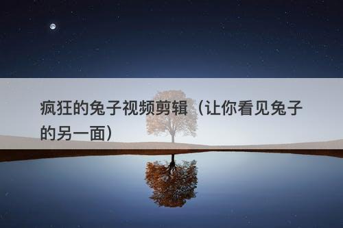 疯狂的兔子视频剪辑（让你看见兔子的另一面）-图1