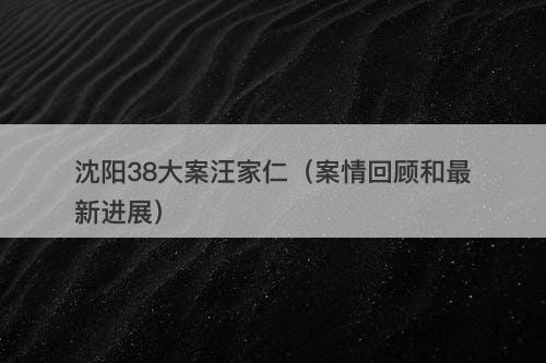 沈阳38大案汪家仁（案情回顾和最新进展）-图1