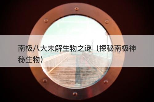 南极八大未解生物之谜（探秘南极神秘生物）-图1