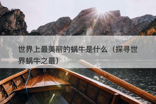 世界上最美丽的蜗牛是什么(探寻世界蜗牛之最)-图1 世界上最美丽的蜗牛是什么(探寻世界蜗牛之最)-图1