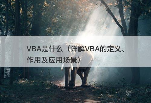 VBA是什么（详解VBA的定义、作用及应用场景）-图1