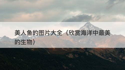 美人鱼的图片大全（欣赏海洋中最美的生物）-图1