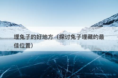 埋兔子的好地方(探讨兔子埋藏的最佳位置)-图1 埋兔子的好地方(探讨兔子埋藏的最佳位置)-图1