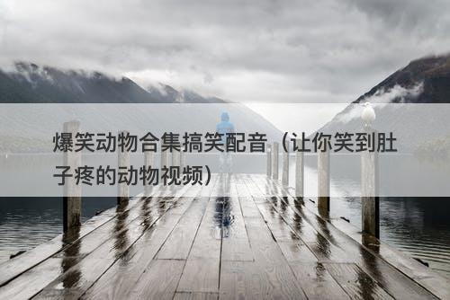 爆笑动物合集搞笑配音(让你笑到肚子疼的动物视频)-图1 爆笑动物合集搞笑配音(让你笑到肚子疼的动物视频)-图1