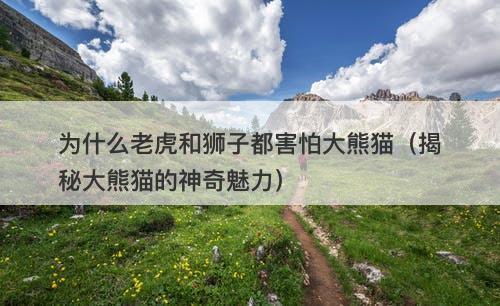 为什么老虎和狮子都害怕大熊猫（揭秘大熊猫的神奇魅力）-图1