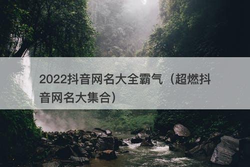 2022抖音网名大全霸气（超燃抖音网名大集合）-图1