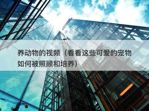 养动物的视频(看看这些可爱的宠物如何被照顾和培养)-图1 养动物的视频(看看这些可爱的宠物如何被照顾和培养)-图1