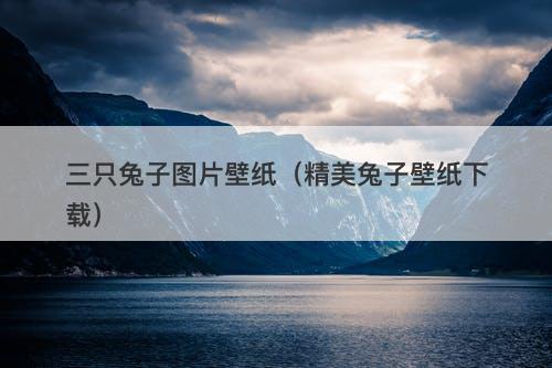 三只兔子图片壁纸（精美兔子壁纸下载）-图1