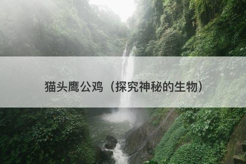 猫头鹰公鸡（探究神秘的生物）-图1