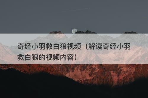 奇经小羽救白狼视频(解读奇经小羽救白狼的视频内容)-图1 奇经小羽救白狼视频(解读奇经小羽救白狼的视频内容)-图1