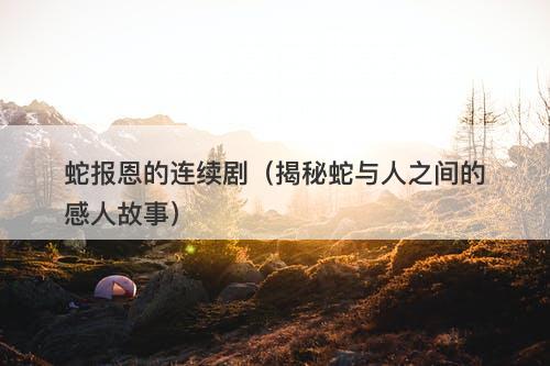 蛇报恩的连续剧（揭秘蛇与人之间的感人故事）-图1