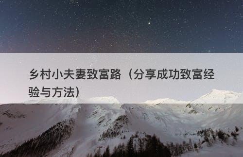 乡村小夫妻致富路（分享成功致富经验与方法）-图1