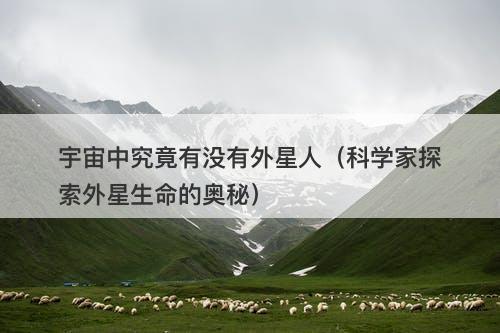 宇宙中究竟有没有外星人（科学家探索外星生命的奥秘）-图1