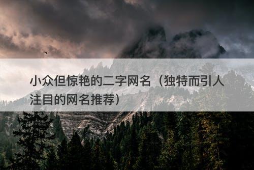 小众但惊艳的二字网名（独特而引人注目的网名推荐）-图1