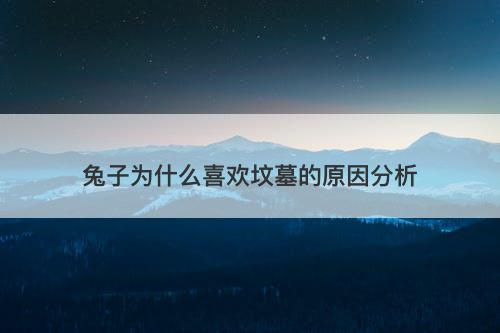兔子为什么喜欢坟墓的原因分析-图1