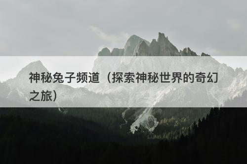神秘兔子频道（探索神秘世界的奇幻之旅）-图1