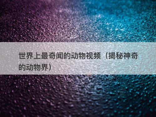 世界上最奇闻的动物视频（揭秘神奇的动物界）-图1
