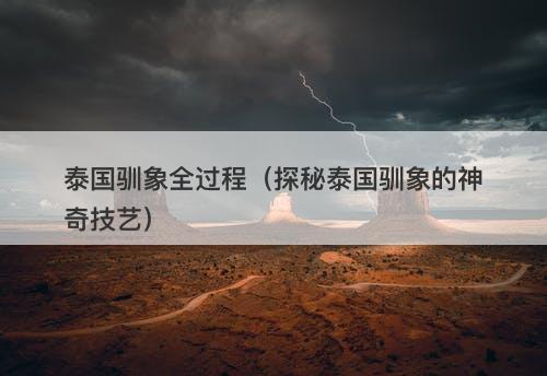 泰国驯象全过程（探秘泰国驯象的神奇技艺）-图1