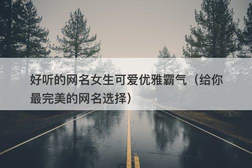 好听的网名女生可爱优雅霸气（给你最完美的网名选择）-图1