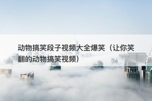 动物搞笑段子视频大全爆笑（让你笑翻的动物搞笑视频）-图1