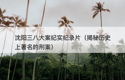 沈阳三八大案纪实纪录片（揭秘历史上著名的刑案）-图1