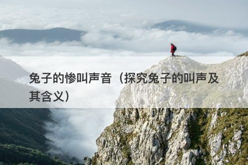 兔子的惨叫声音（探究兔子的叫声及其含义）-图1