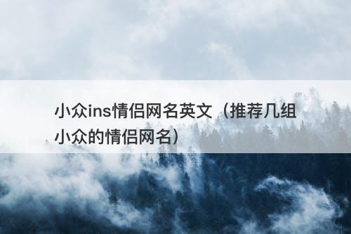 小众ins情侣网名英文（推荐几组小众的情侣网名）-图1