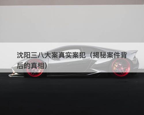 沈阳三八大案真实案犯（揭秘案件背后的真相）-图1