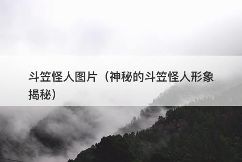 斗笠怪人图片（神秘的斗笠怪人形象揭秘）-图1