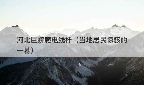 河北巨蟒爬电线杆（当地居民惊骇的一幕）-图1