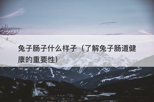 兔子肠子什么样子（了解兔子肠道健康的重要性）-图1