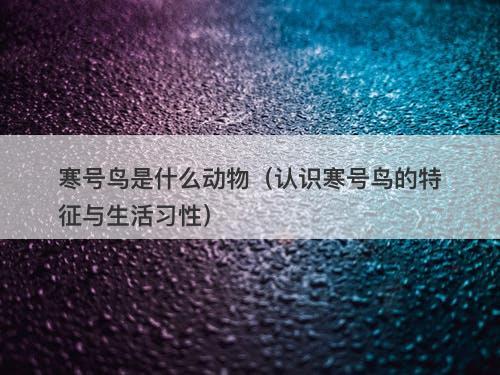 寒号鸟是什么动物（认识寒号鸟的特征与生活习性）-图1