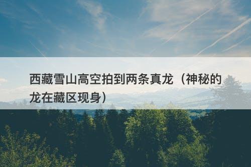 西藏雪山高空拍到两条真龙(神秘的龙在藏区现身)-图1 西藏雪山高空拍到两条真龙(神秘的龙在藏区现身)-图1