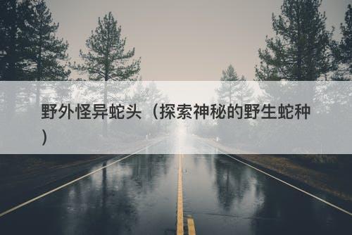 野外怪异蛇头（探索神秘的野生蛇种）-图1