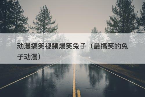 动漫搞笑视频爆笑兔子（最搞笑的兔子动漫）-图1