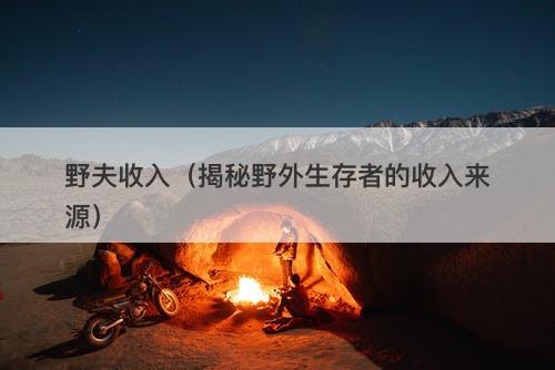 野夫收入（揭秘野外生存者的收入来源）-图1