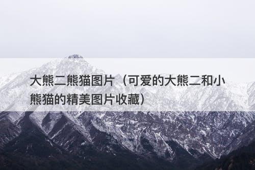 大熊二熊猫图片（可爱的大熊二和小熊猫的精美图片收藏）-图1