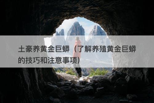 土豪养黄金巨蟒(了解养殖黄金巨蟒的技巧和注意事项)-图1 土豪养黄金巨蟒(了解养殖黄金巨蟒的技巧和注意事项)-图1