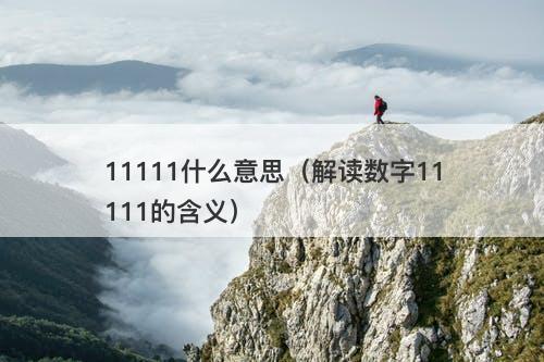 11111什么意思（解读数字11111的含义）-图1